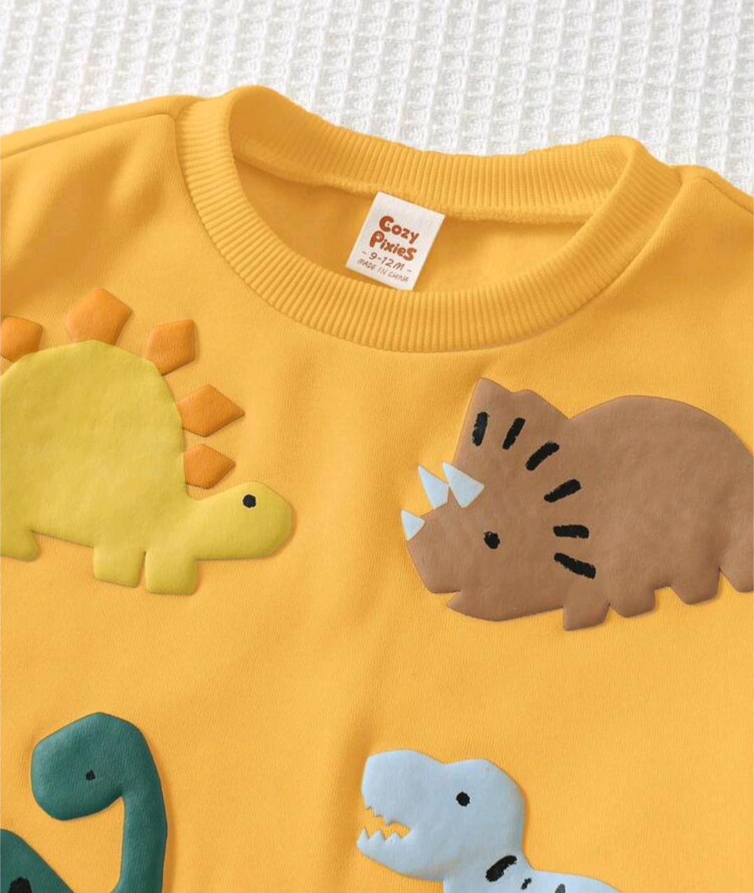 Baby & Toddler Dinosaur Appliqué Sweatshirt