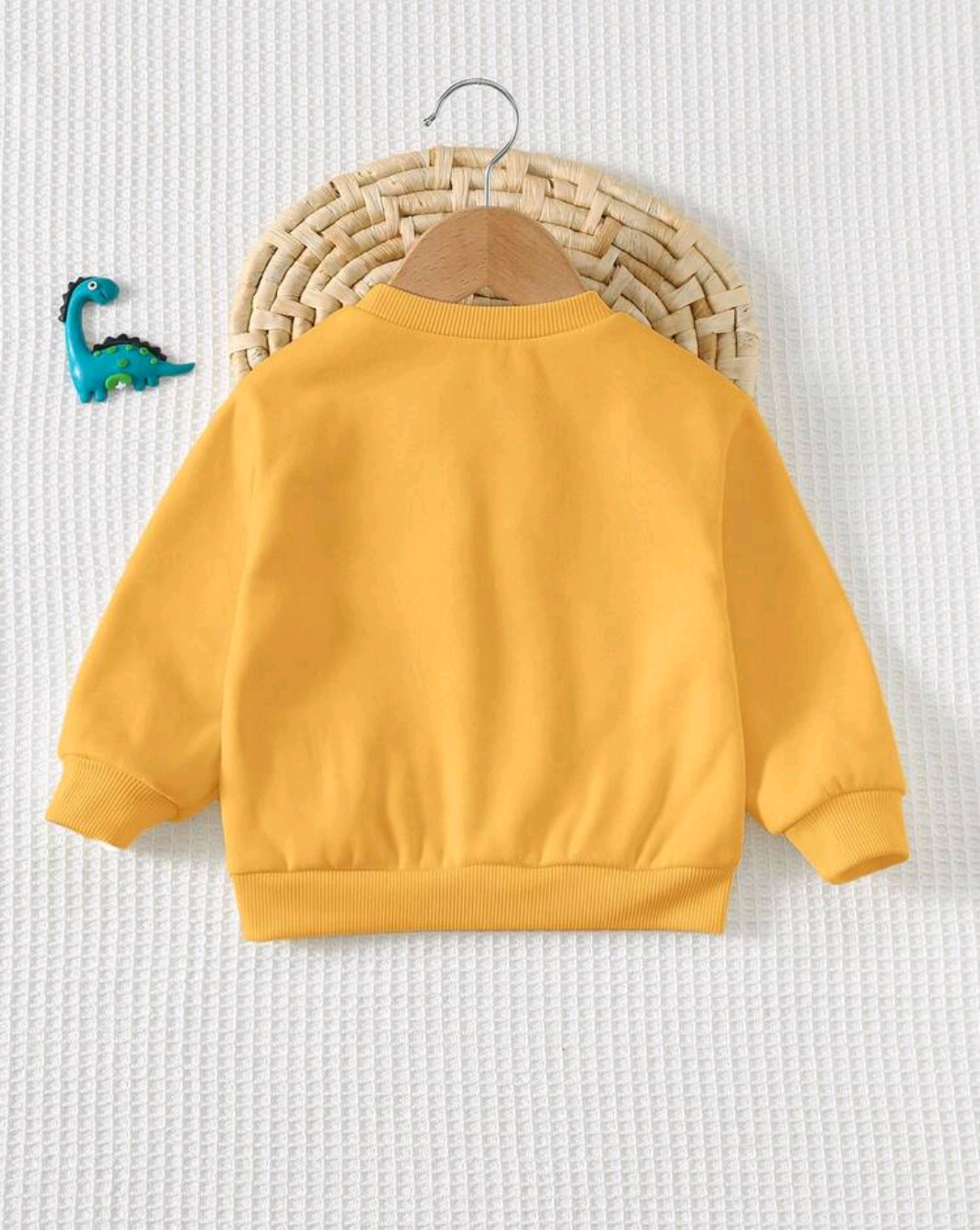 Baby & Toddler Dinosaur Appliqué Sweatshirt