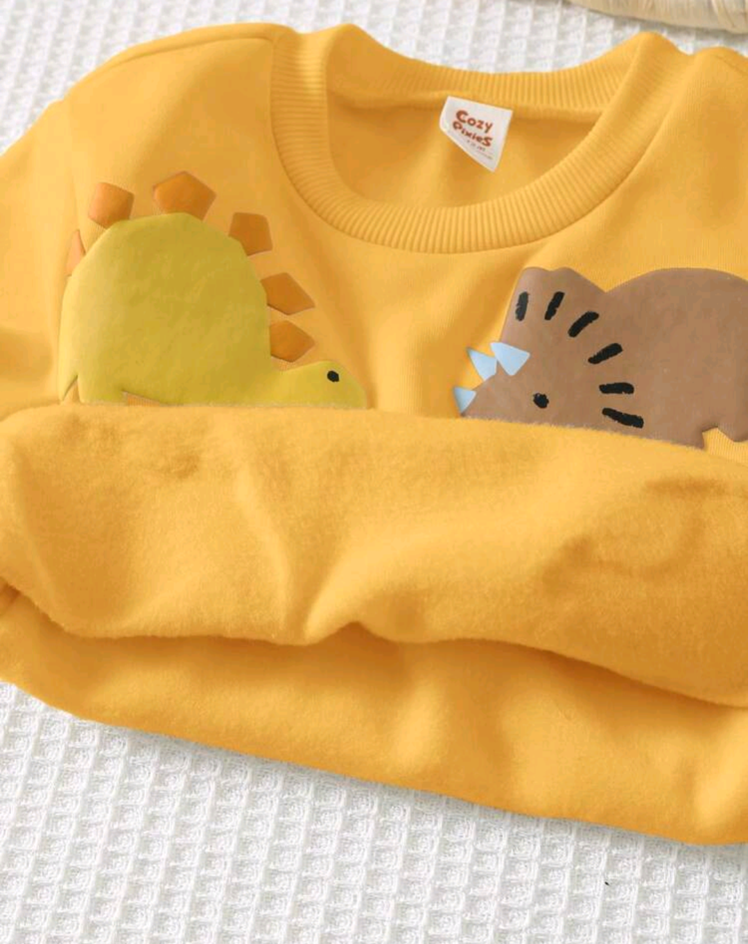 Baby & Toddler Dinosaur Appliqué Sweatshirt